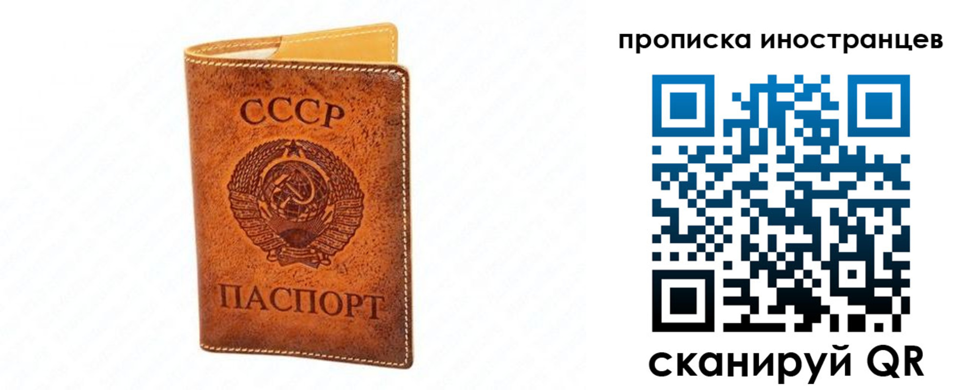 прописка для школы в Белгородской области